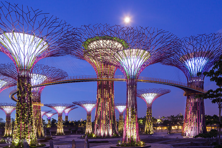 Gardens by the Bay Singapore Top 10 điểm bạn nên đi du lịch